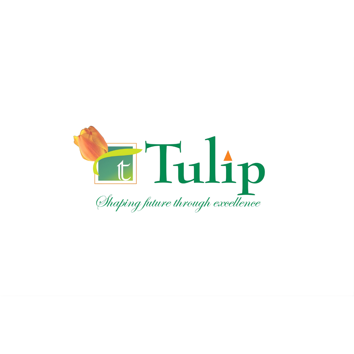 Tulip Developer